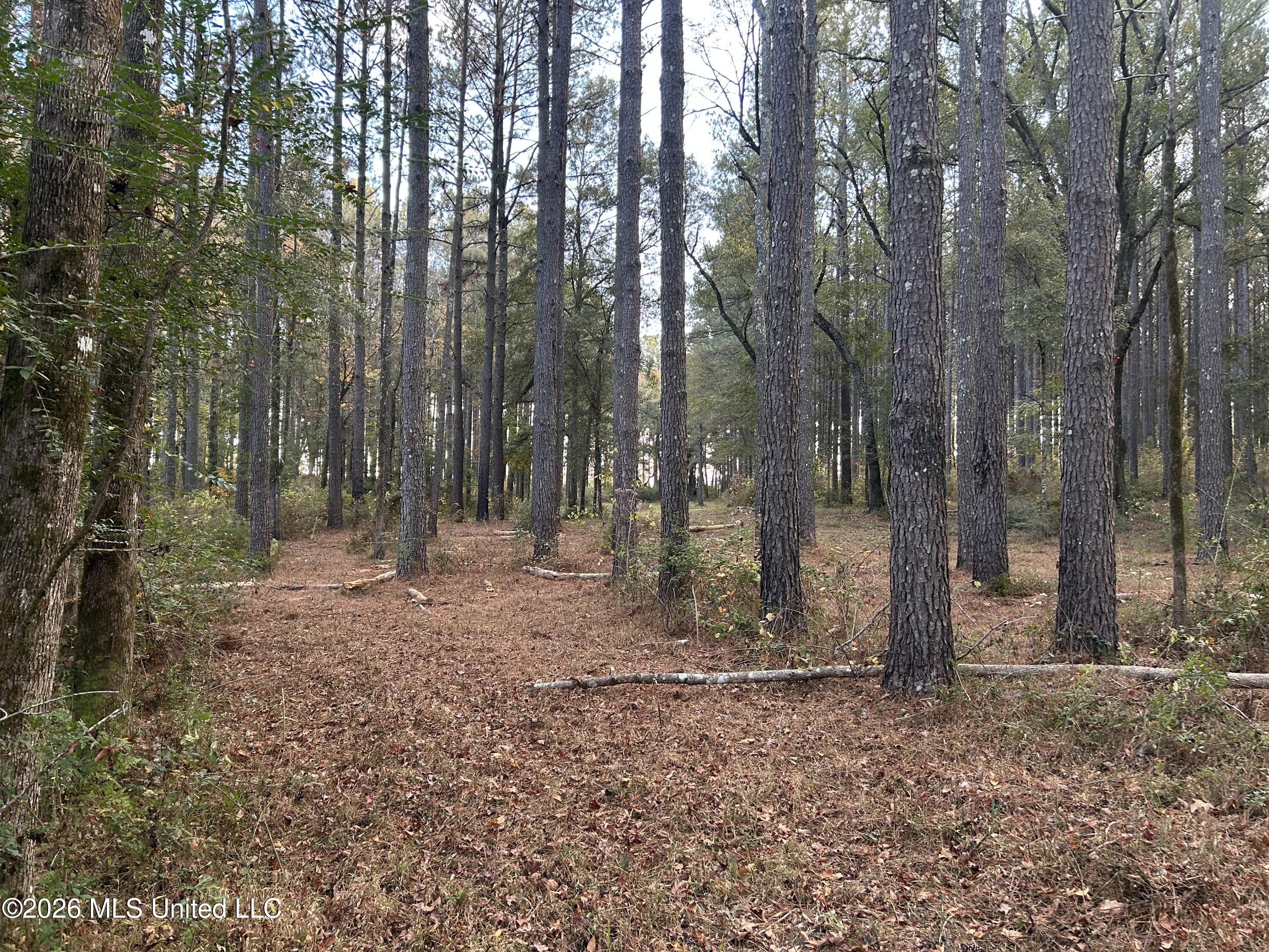 4024 Old Mill Road Osyka, MS 39657 - Photo 26 of 44 IMG_1084