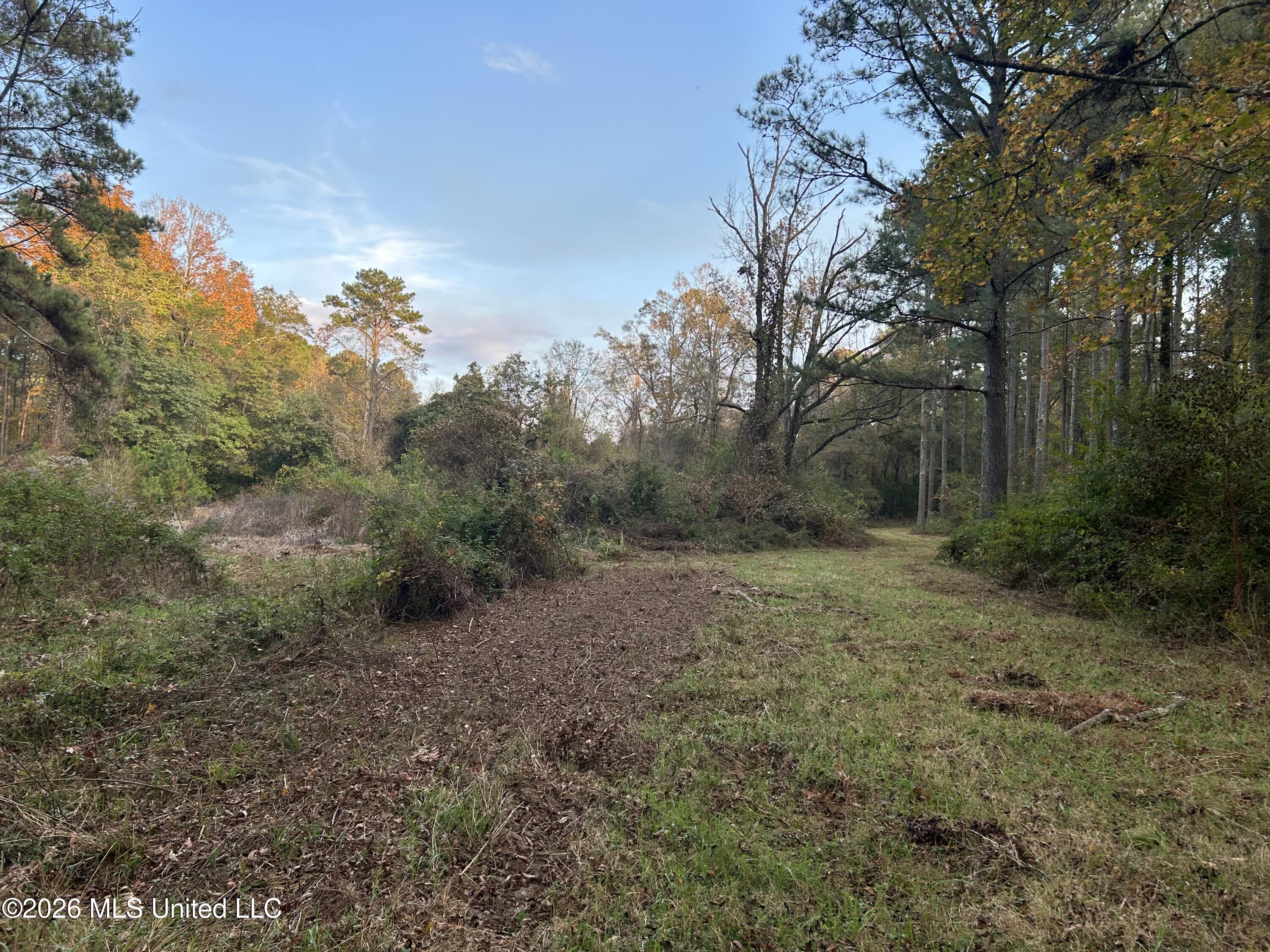 4024 Old Mill Road Osyka, MS 39657 - Photo 27 of 44 IMG_1085