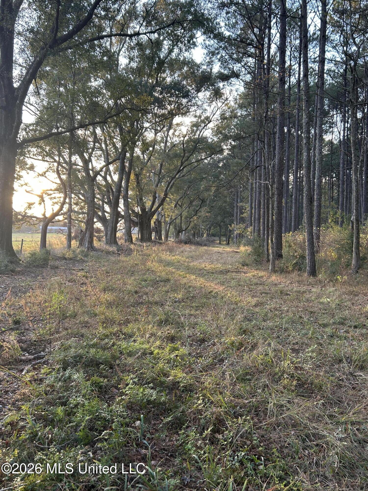 4024 Old Mill Road Osyka, MS 39657 - Photo 29 of 44 IMG_1090