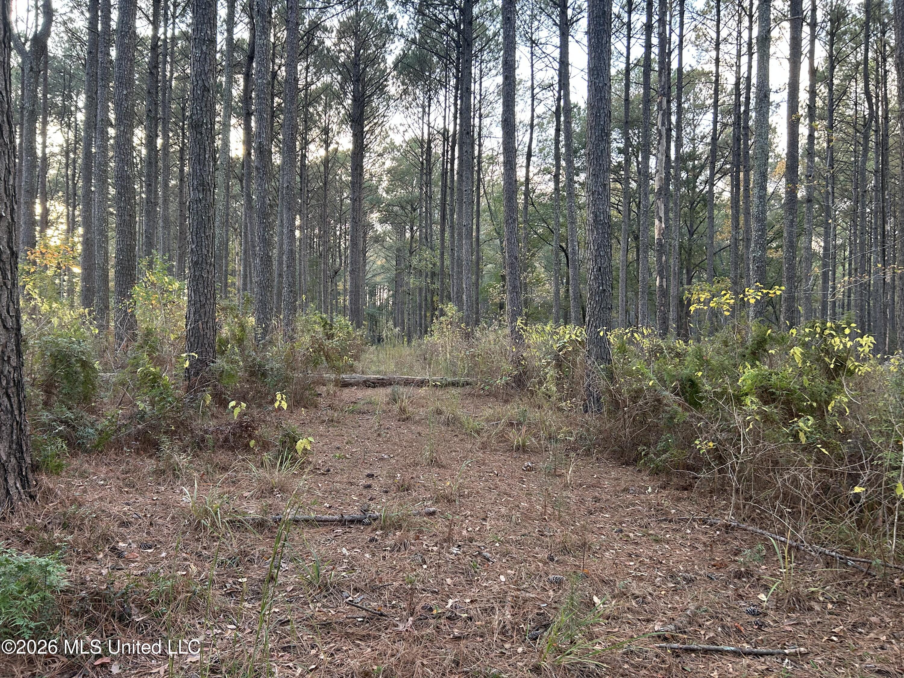 4024 Old Mill Road Osyka, MS 39657 - Photo 32 of 44 IMG_1105