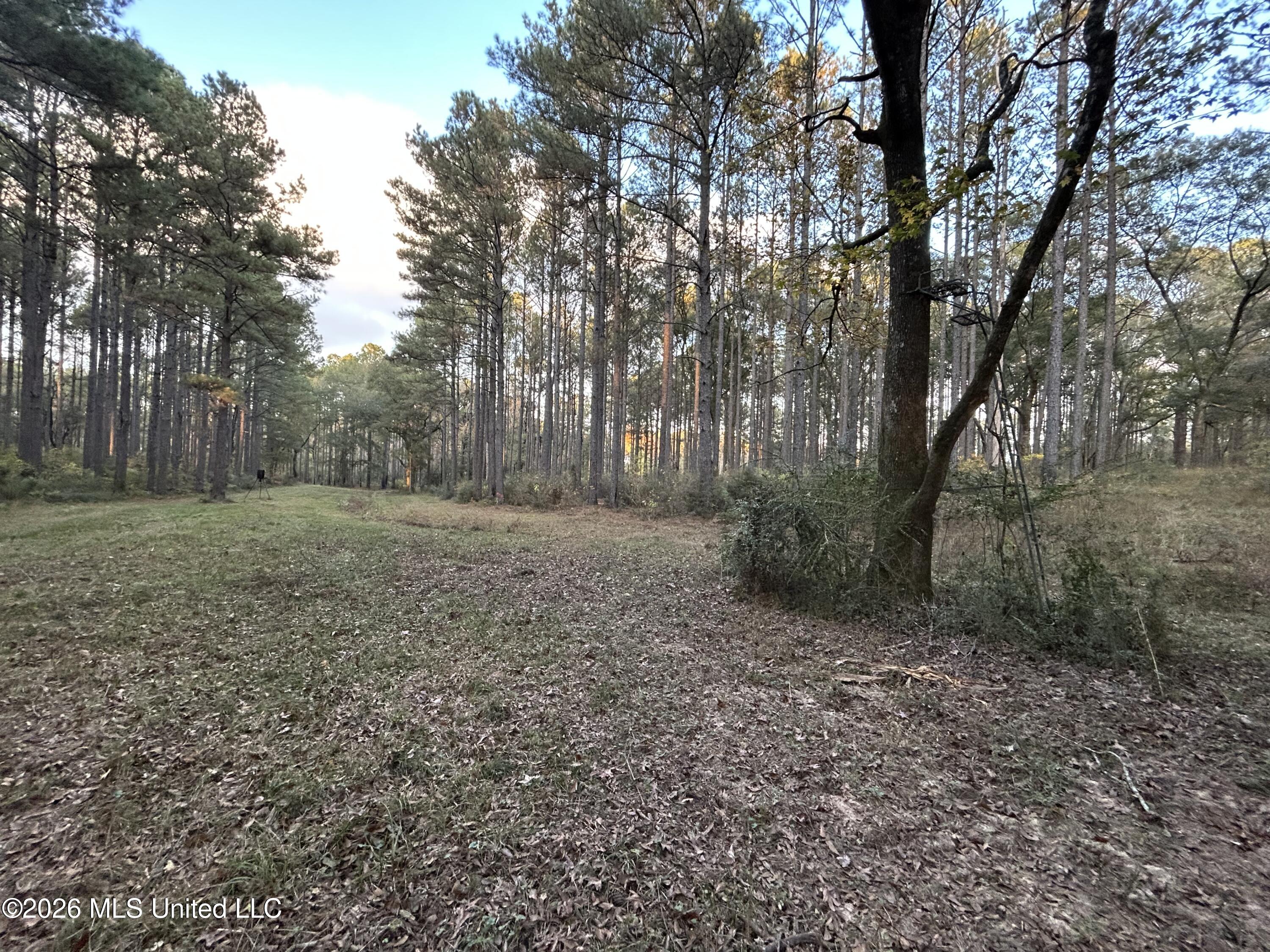 4024 Old Mill Road Osyka, MS 39657 - Photo 38 of 44 IMG_1123