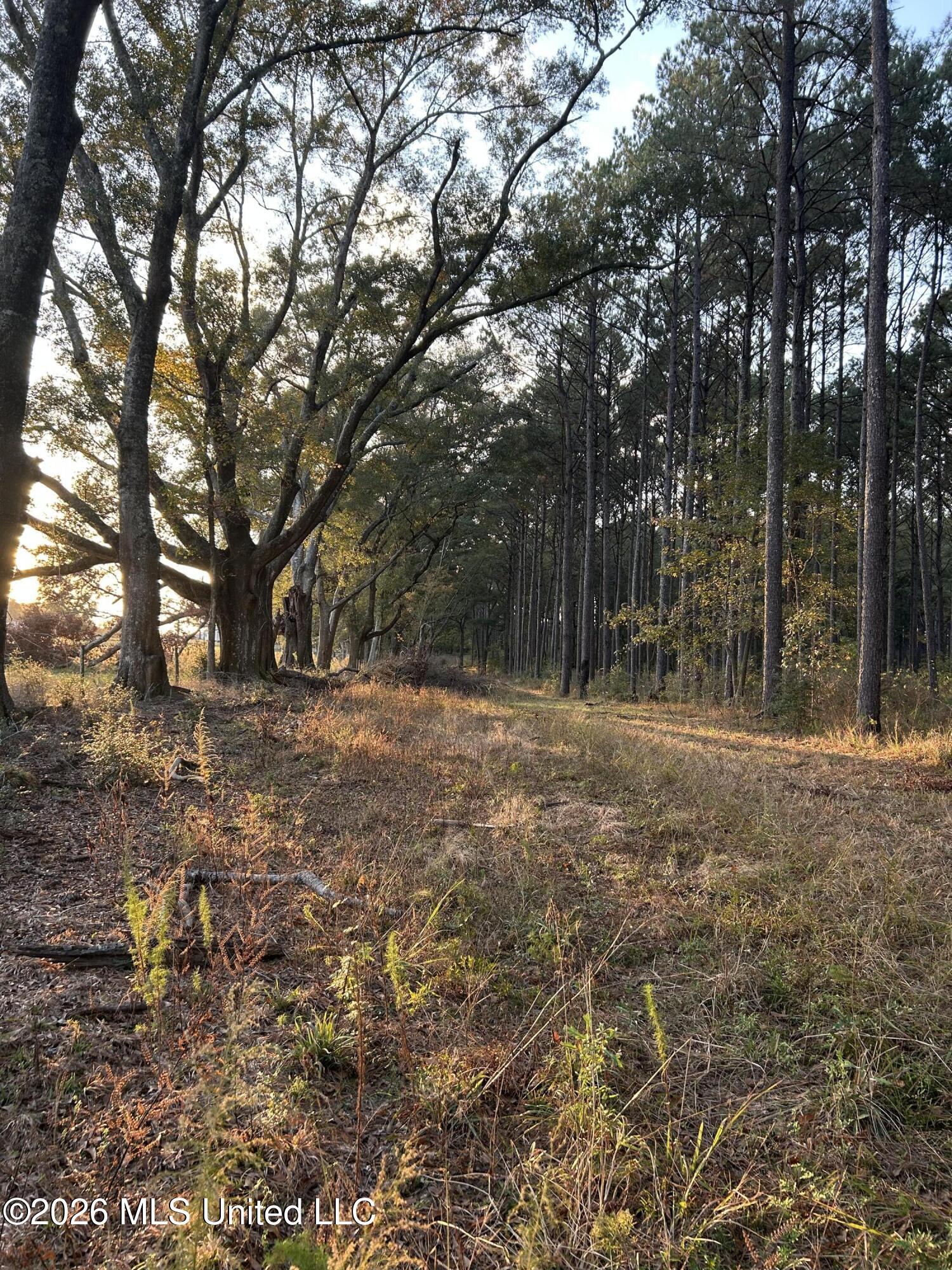 4024 Old Mill Road Osyka, MS 39657 - Photo 4 of 44 IMG_1106