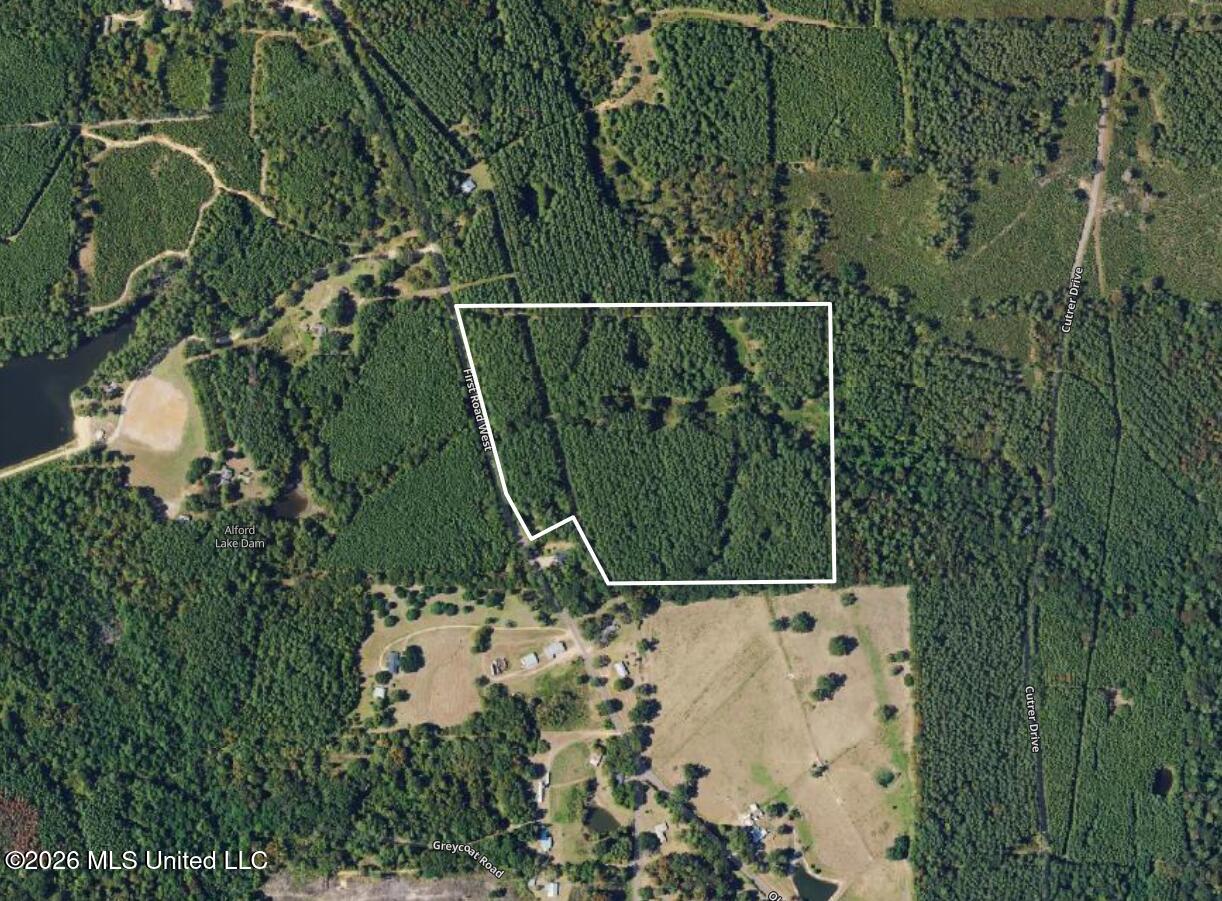 4024 Old Mill Road Osyka, MS 39657 - Photo 44 of 44 alford 47 acres