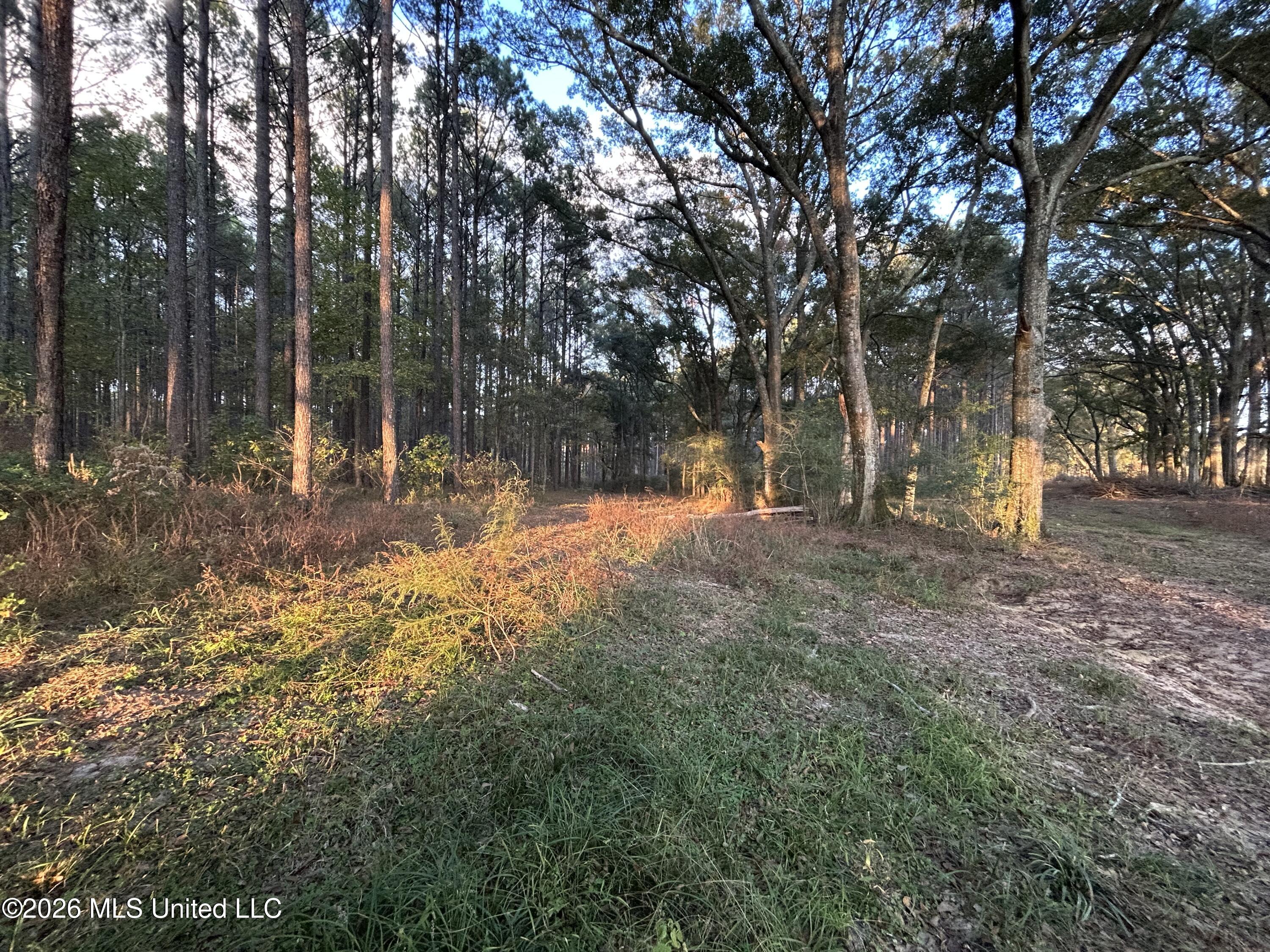 4024 Old Mill Road Osyka, MS 39657 - Photo 5 of 44 IMG_1110