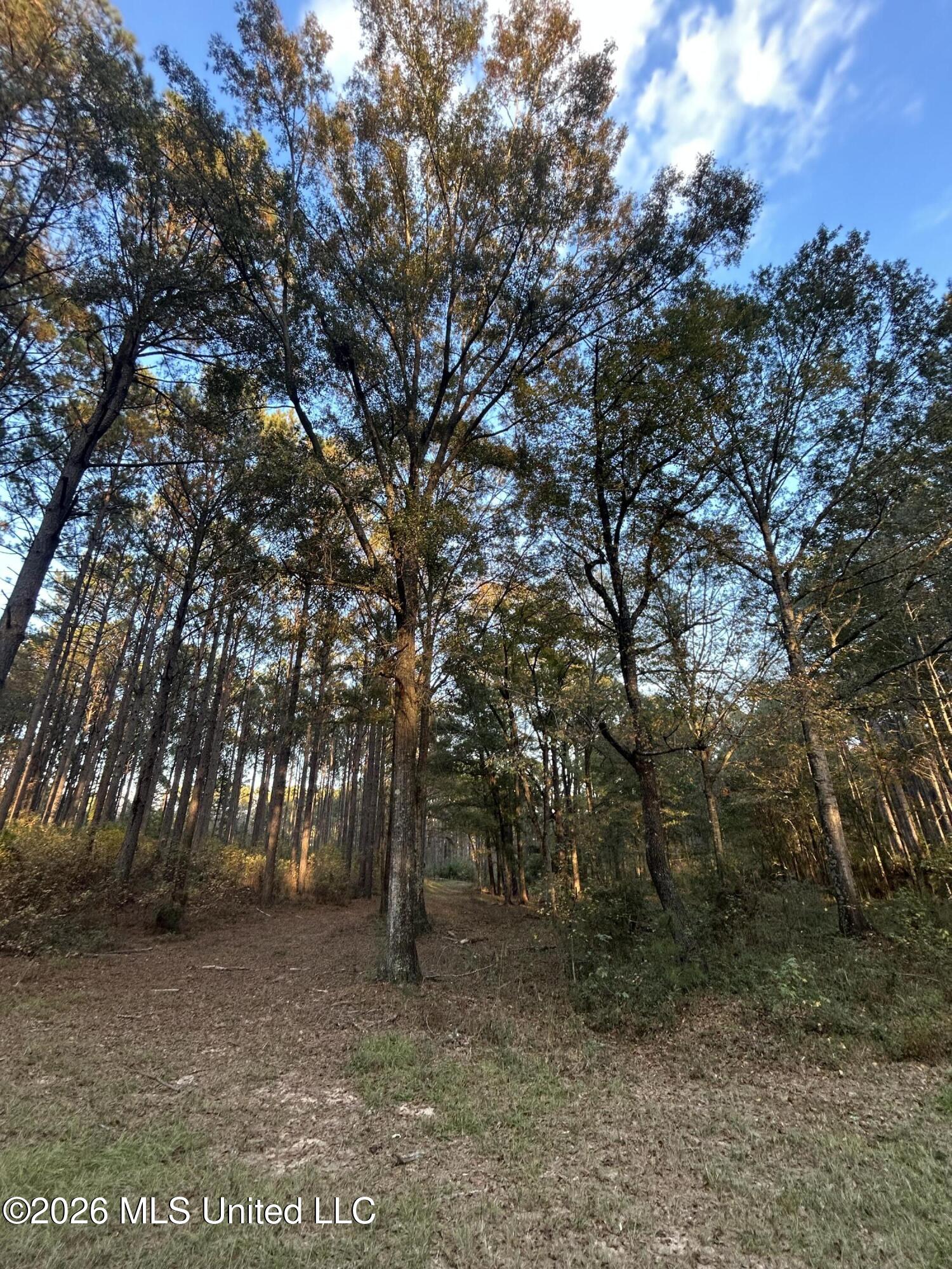 4024 Old Mill Road Osyka, MS 39657 - Photo 10 of 44 IMG_1037