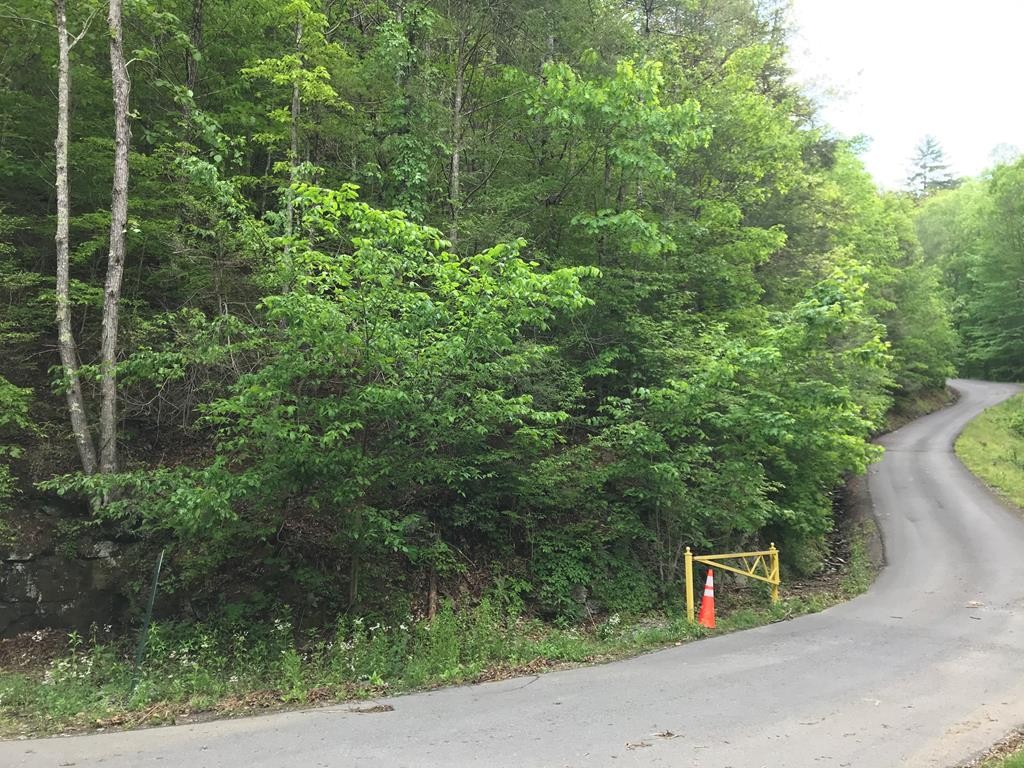 3 Klaver Road Sevierville, TN 37862 - Photo 1 of 3