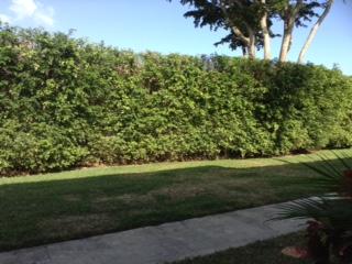 6376 Boca Circle Boca Raton, FL 33433 - Photo 16 of 17 11