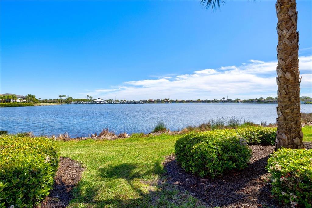 1135 Riverscape Street, Unit 1135 Bradenton, FL 34208 - Photo 52 of 100 a view of a lake with houses in the back