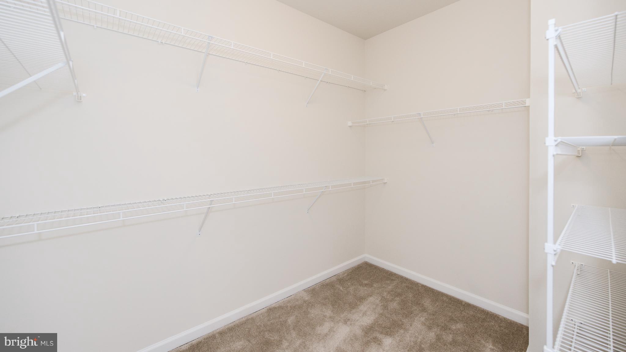 23661 Turtle Point Terrace Ashburn, VA 20148 - Photo 19 of 29 Bedroom (Master)