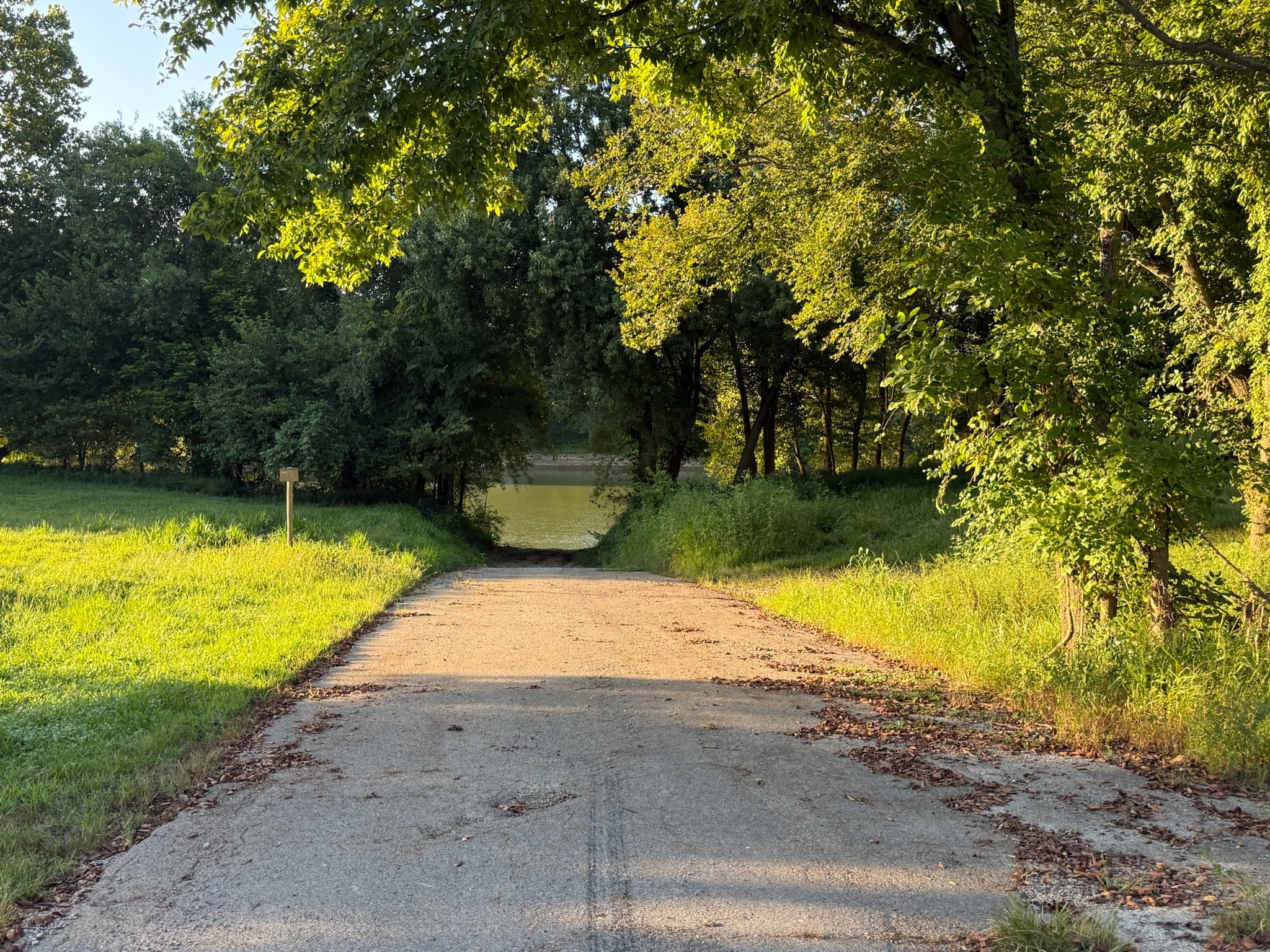 a view of a swimming pool with an outdoor space