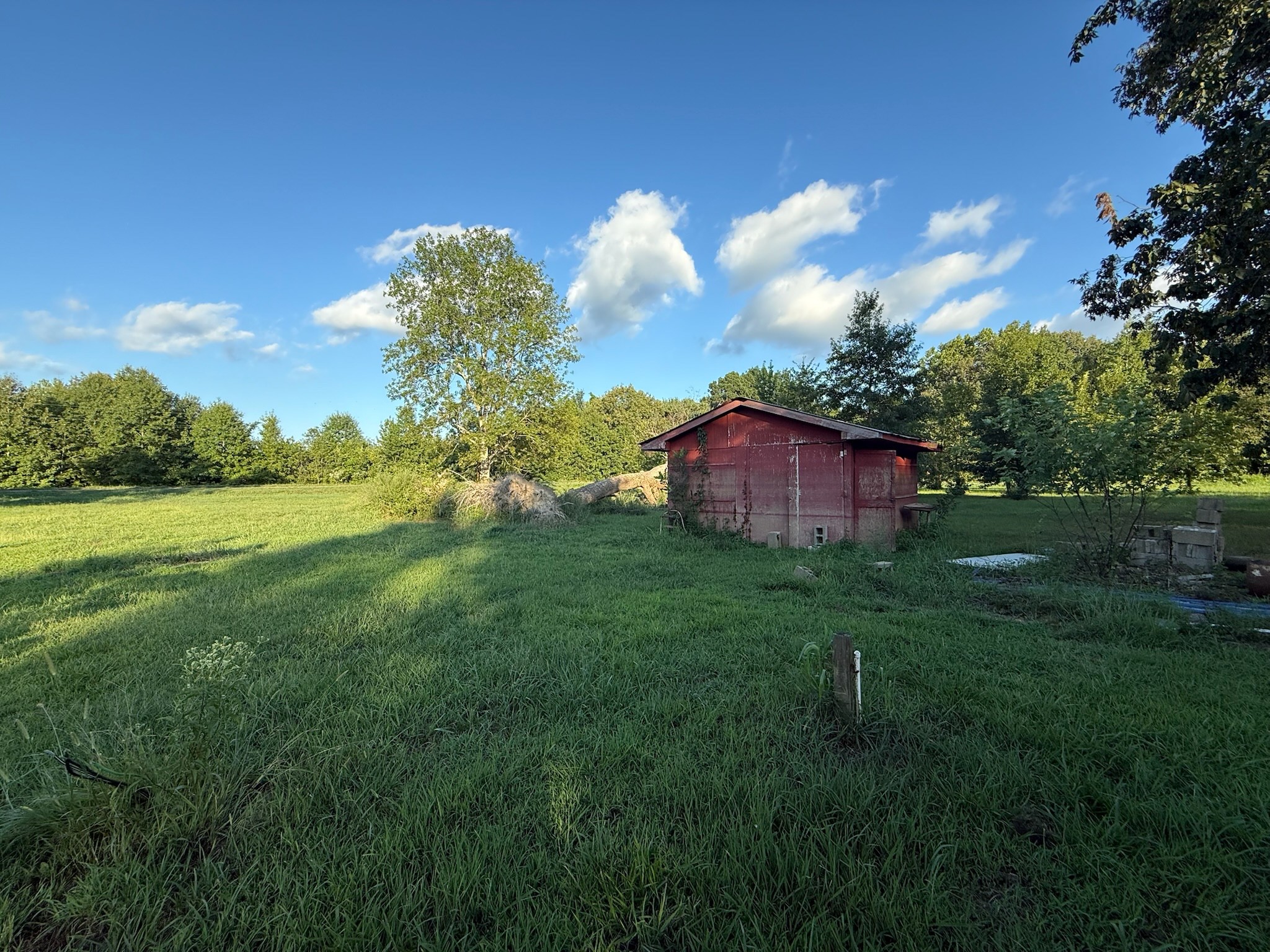 17541 Rangers Landing Road Calhoun, KY 42327 - Photo 12 of 38 a view of a big yard with potted plants and large tree