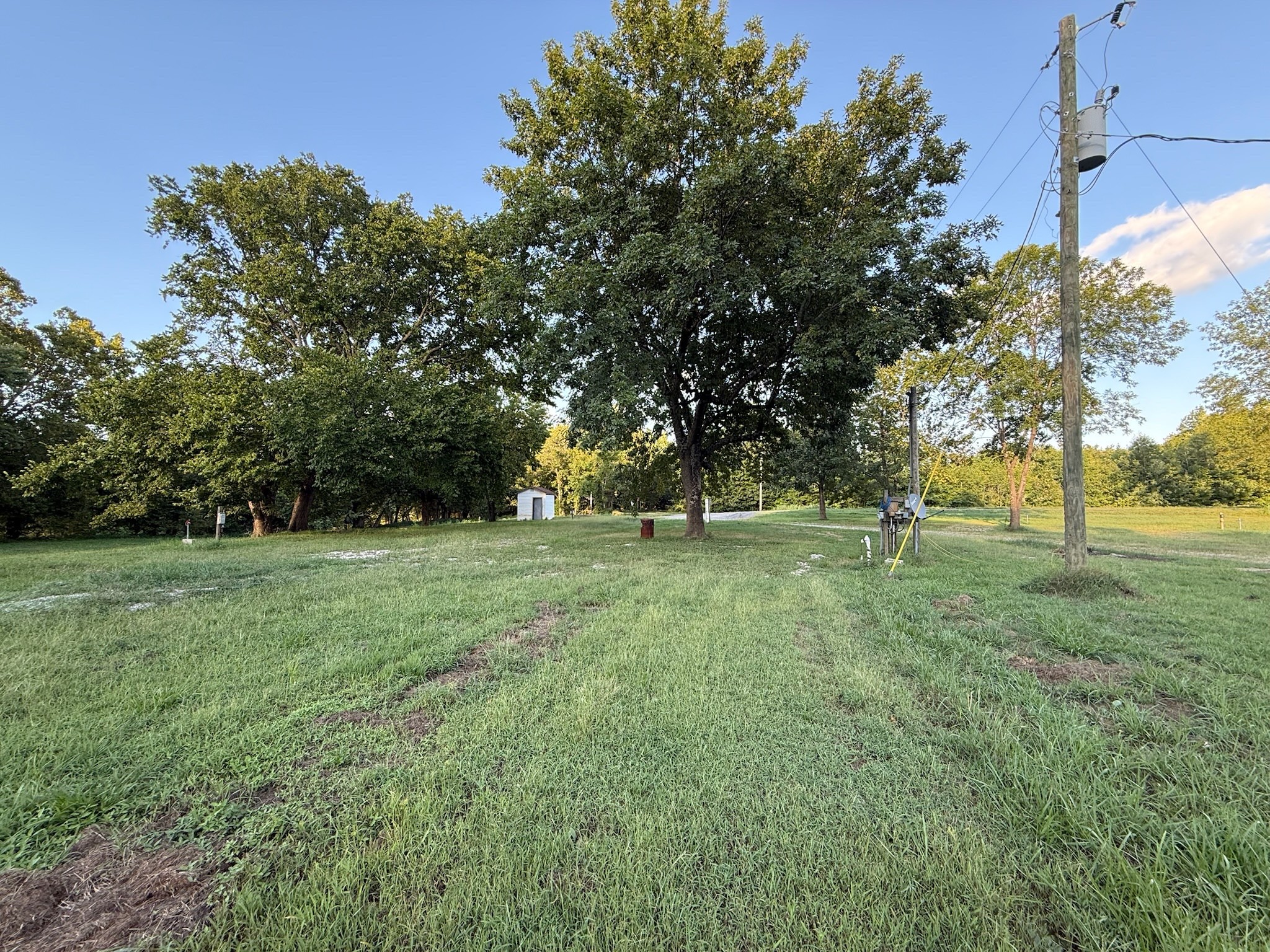 17541 Rangers Landing Road Calhoun, KY 42327 - Photo 15 of 38 a view of outdoor space with green field and trees