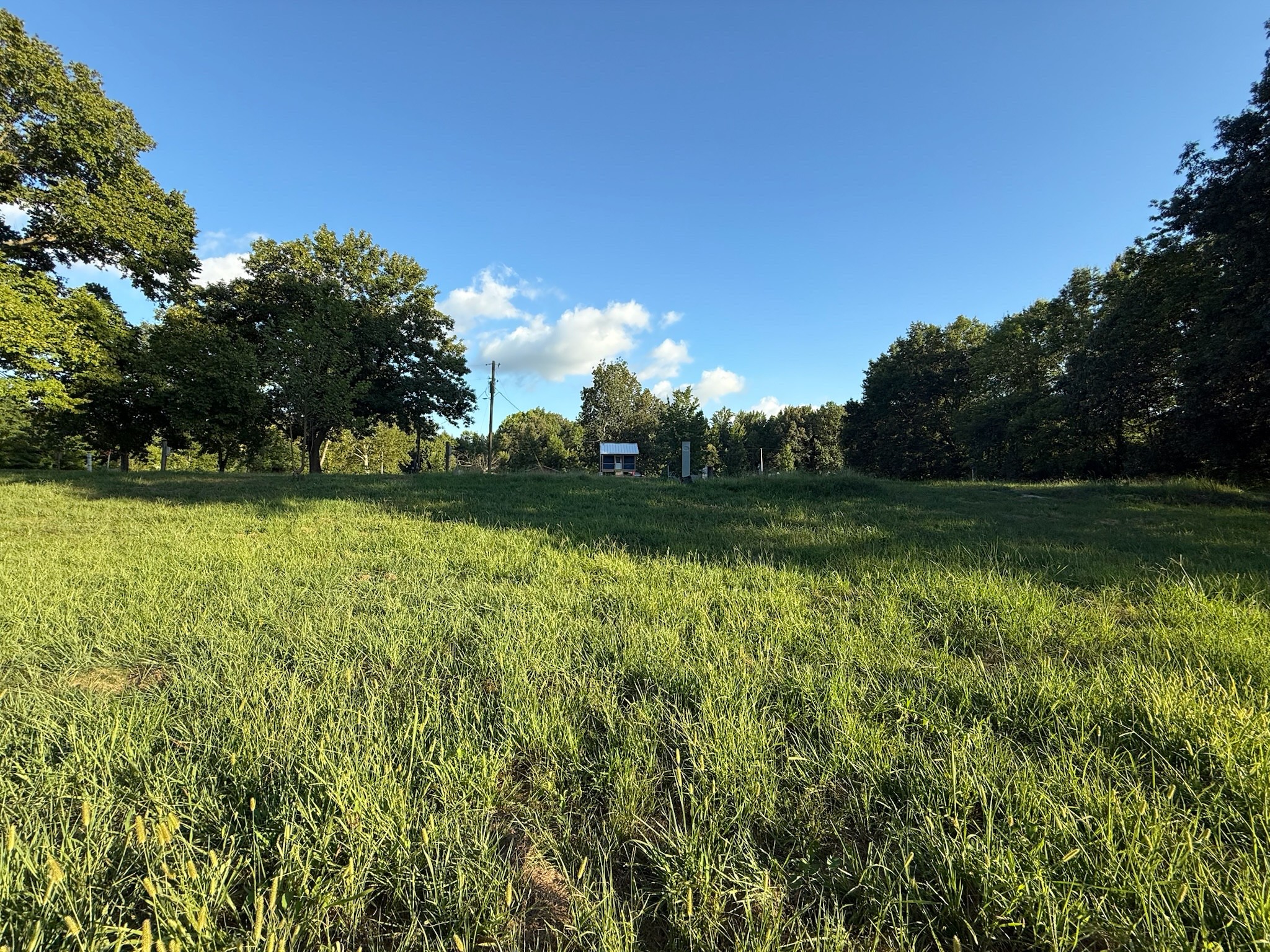 17541 Rangers Landing Road Calhoun, KY 42327 - Photo 18 of 38 a view of a golf course with a lake