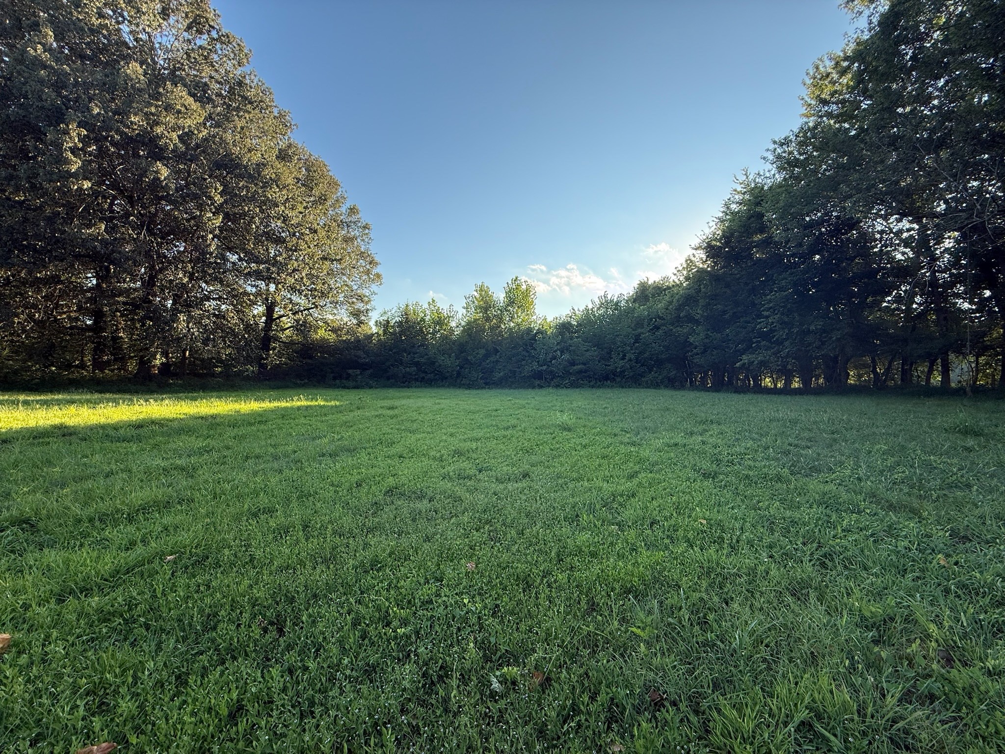 17541 Rangers Landing Road Calhoun, KY 42327 - Photo 19 of 38 a view of a outdoor space