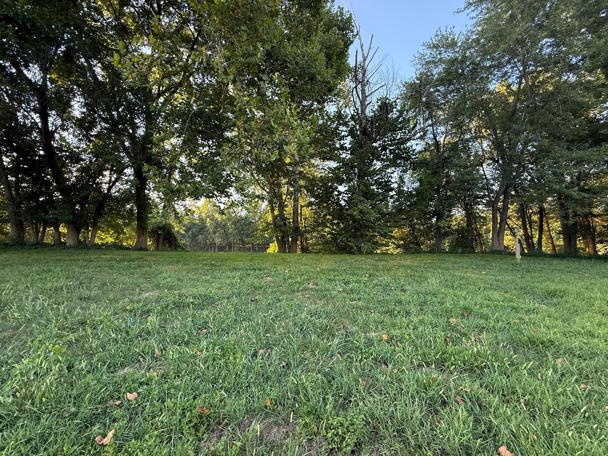 17541 Rangers Landing Road Calhoun, KY 42327 - Photo 20 of 38 a view of yard with green space