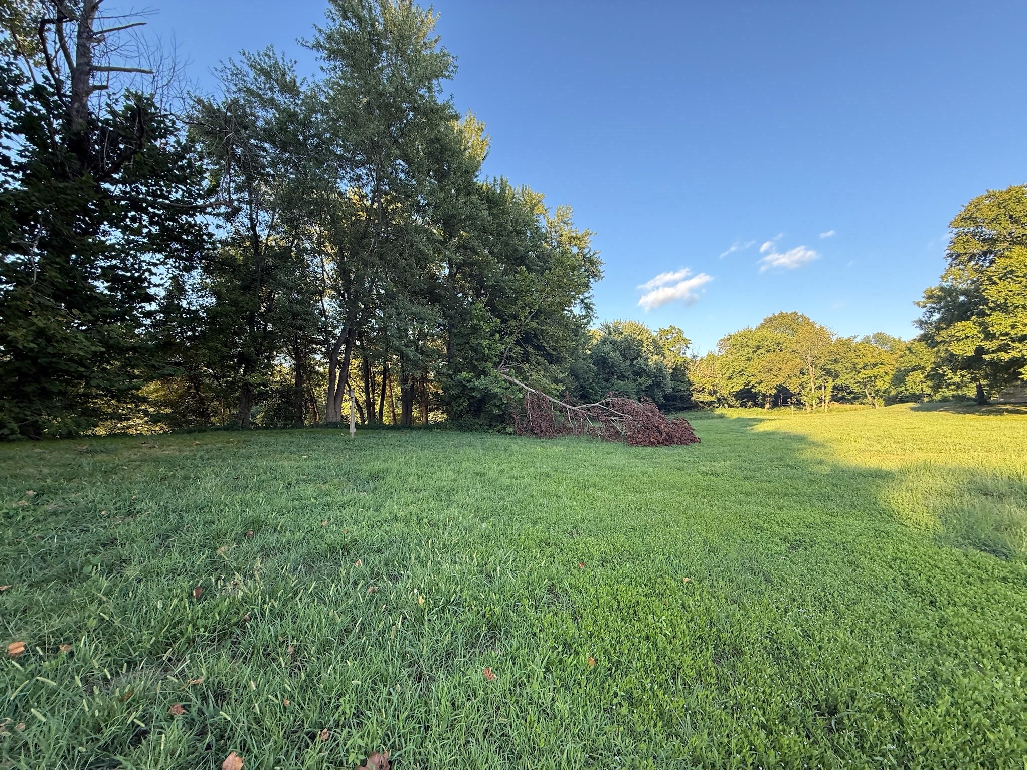 17541 Rangers Landing Road Calhoun, KY 42327 - Photo 21 of 38 a view of outdoor space with deck and trees