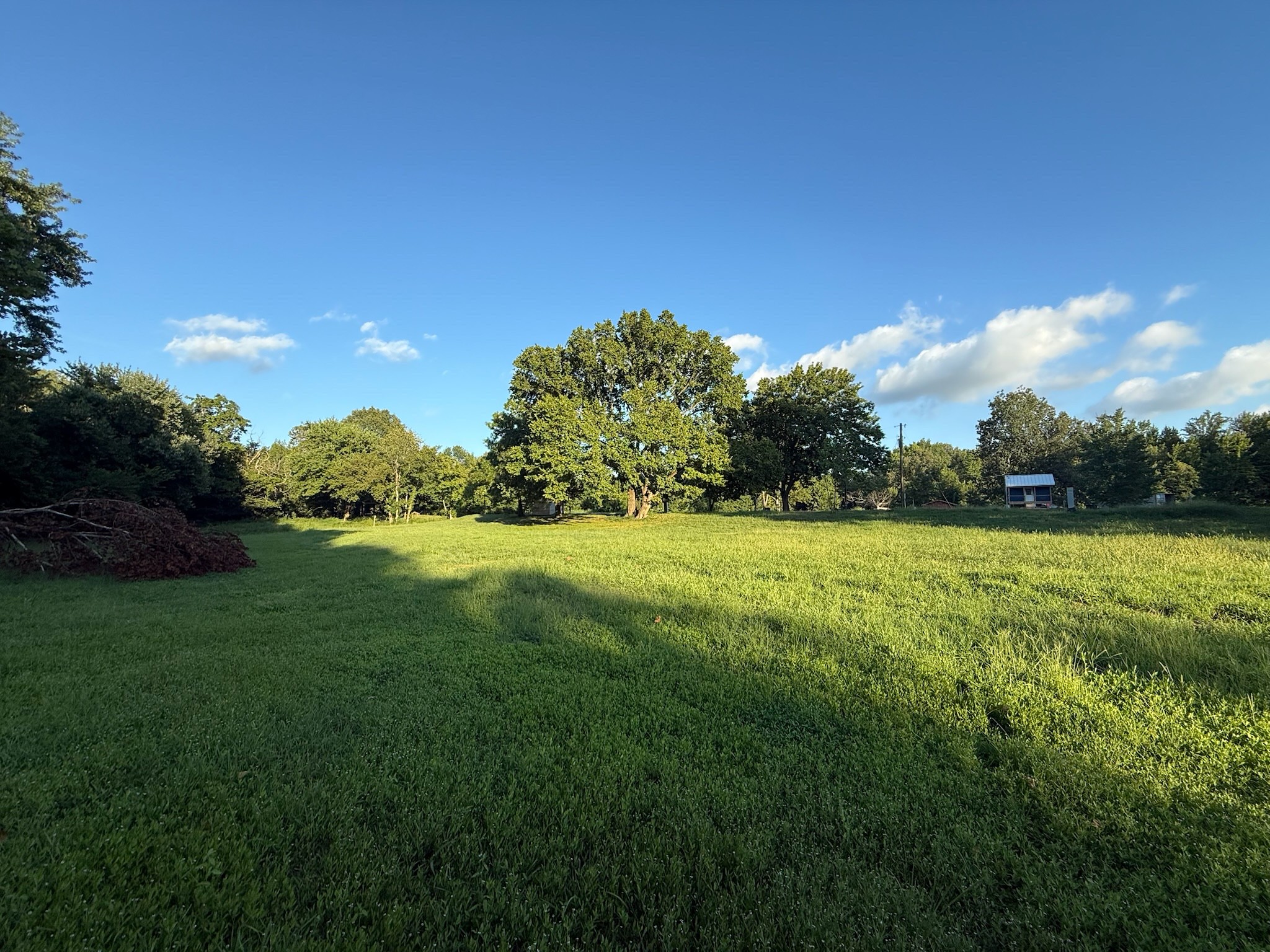 17541 Rangers Landing Road Calhoun, KY 42327 - Photo 22 of 38 a view of a garden