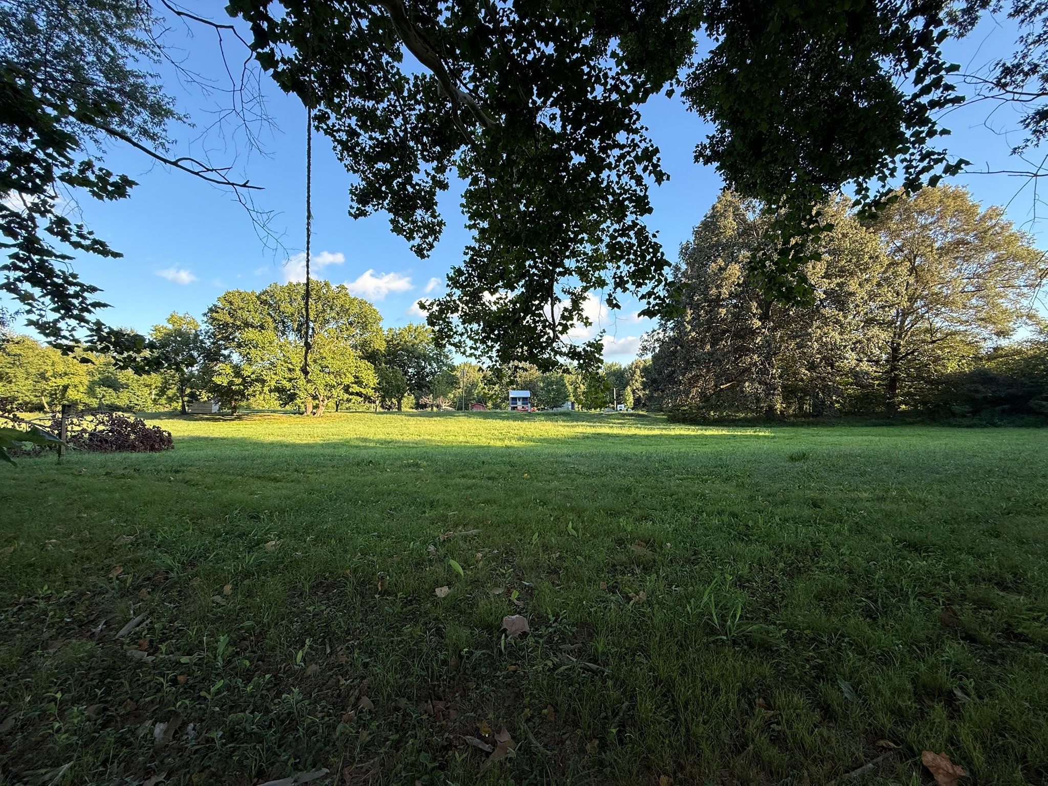 17541 Rangers Landing Road Calhoun, KY 42327 - Photo 24 of 38 a view of yard with green space