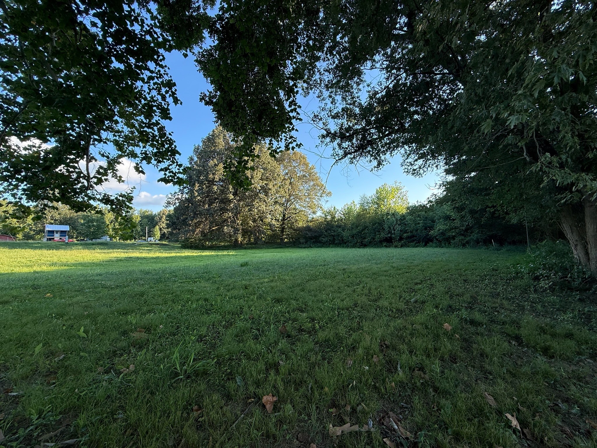 17541 Rangers Landing Road Calhoun, KY 42327 - Photo 25 of 38 a view of yard with green space