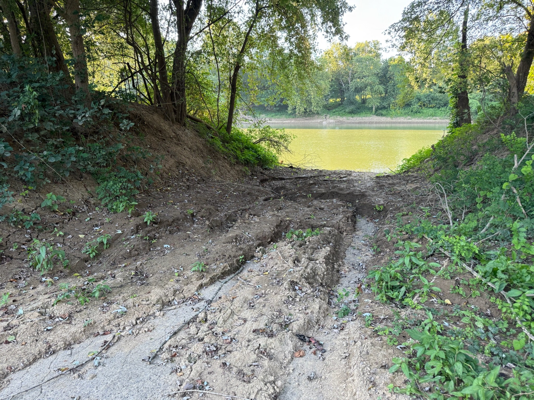 17541 Rangers Landing Road Calhoun, KY 42327 - Photo 38 of 38 a view of a swimming pool with a yard and large trees
