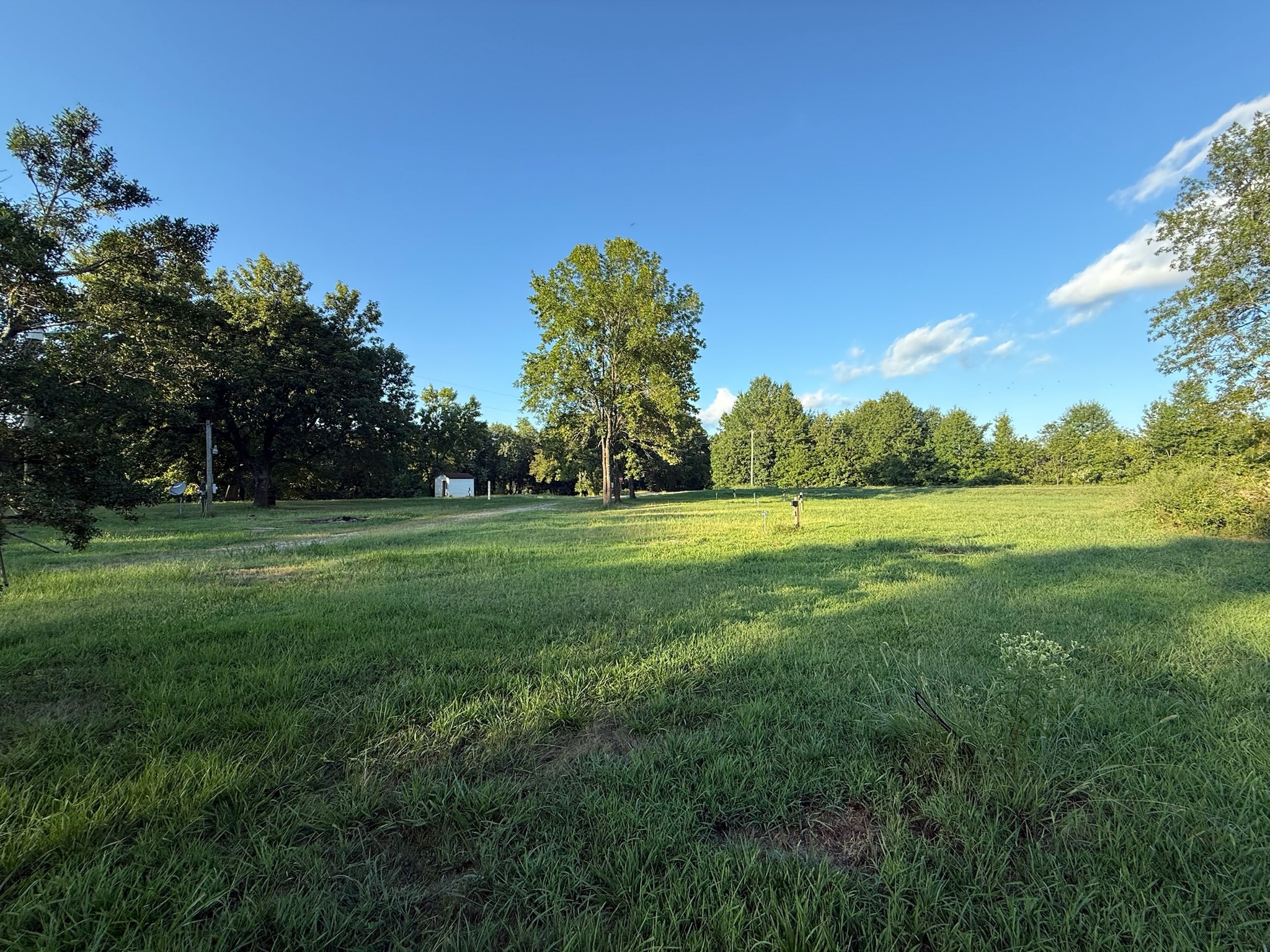 17541 Rangers Landing Road Calhoun, KY 42327 - Photo 4 of 38 a backyard of a house with lots of green space