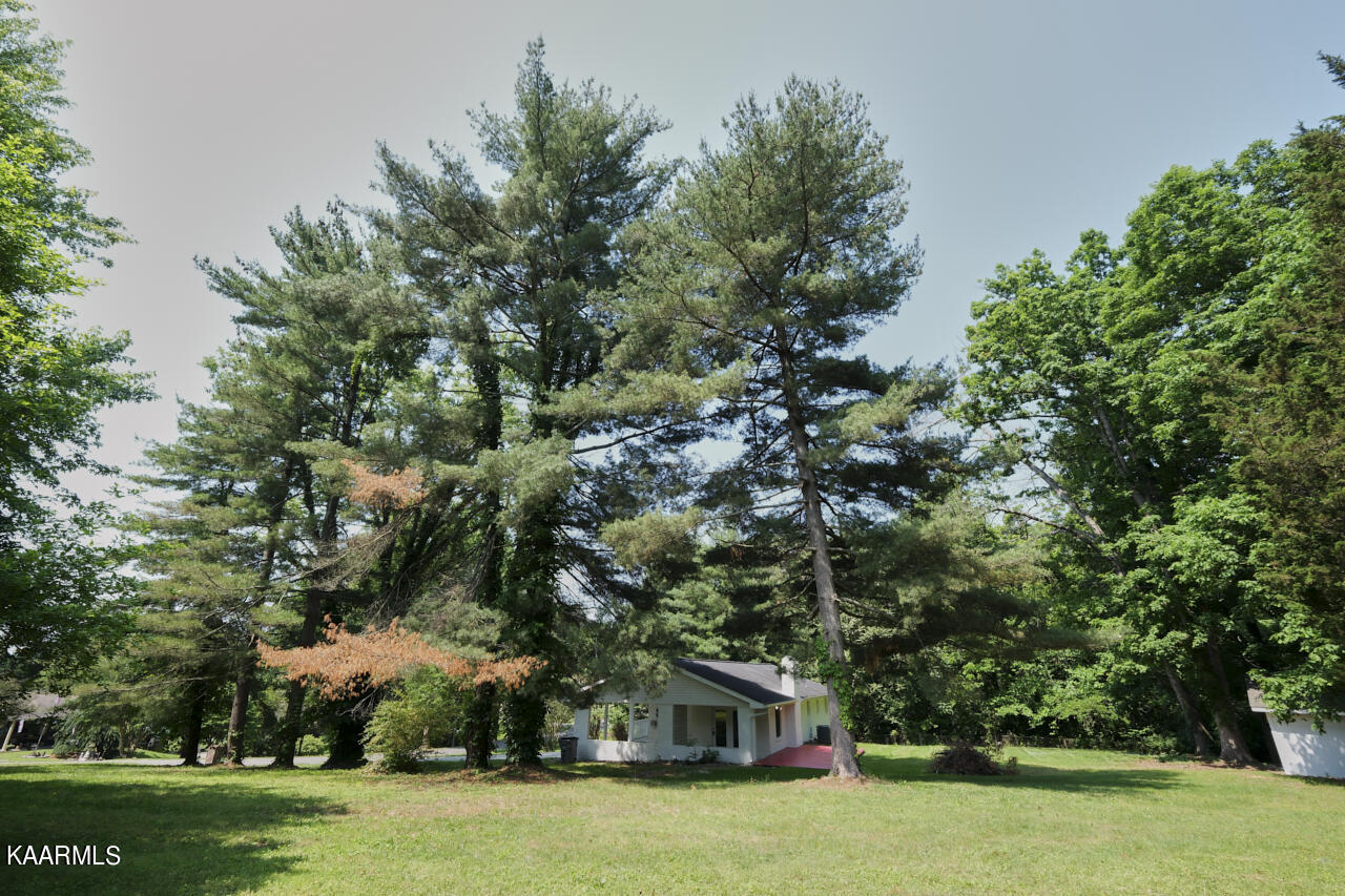 7740 Hoskins Road Talbott, TN 37877 - Photo 4 of 52 7740 Hoskins Rd. 10