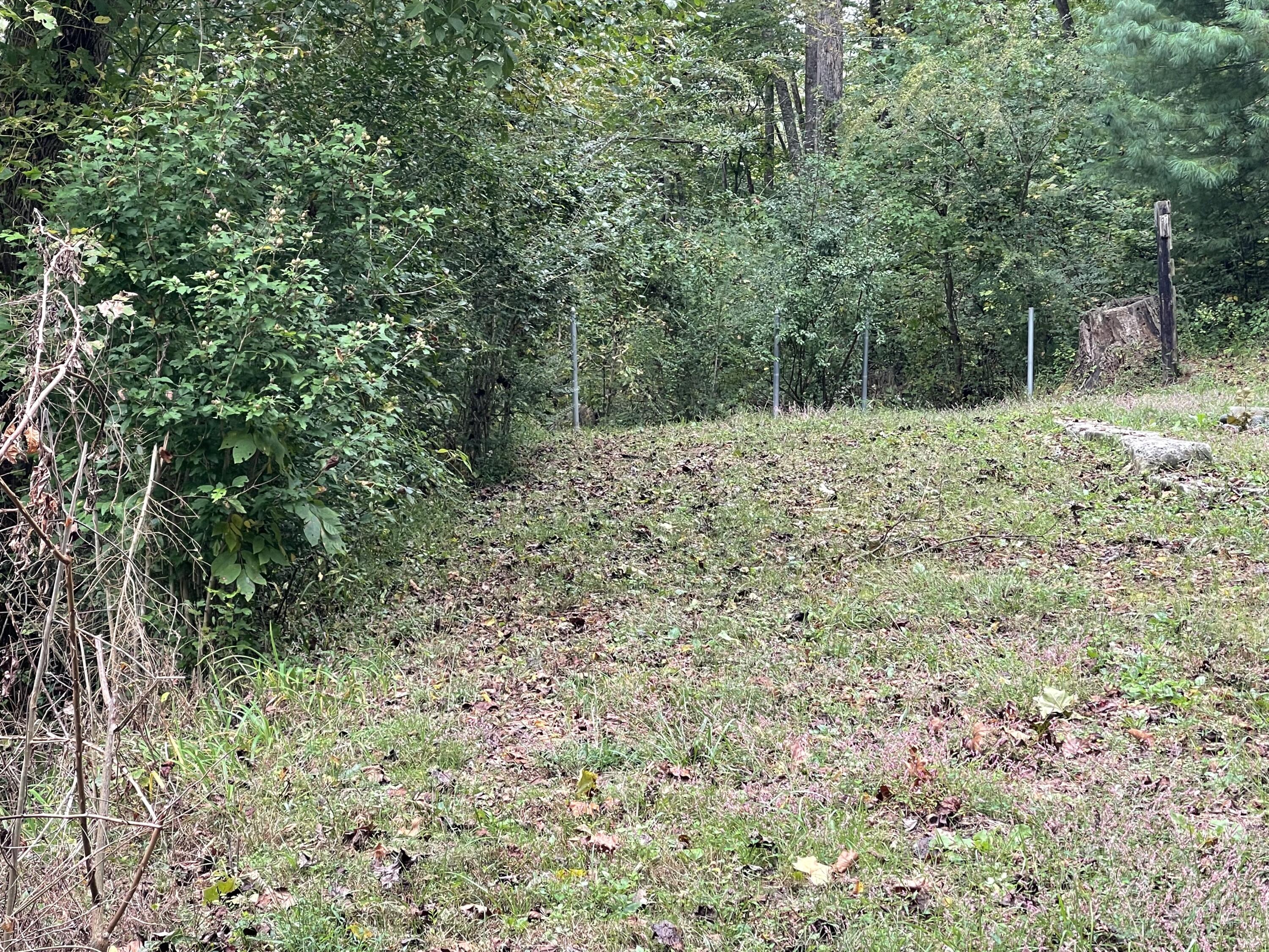 310 Sims Fork Road Arjay, KY 40902 - Photo 9 of 11 IMG_2830