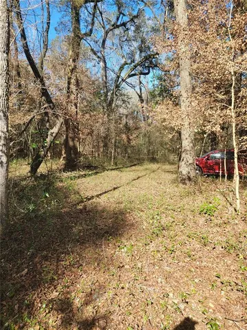 a view of empty space with trees