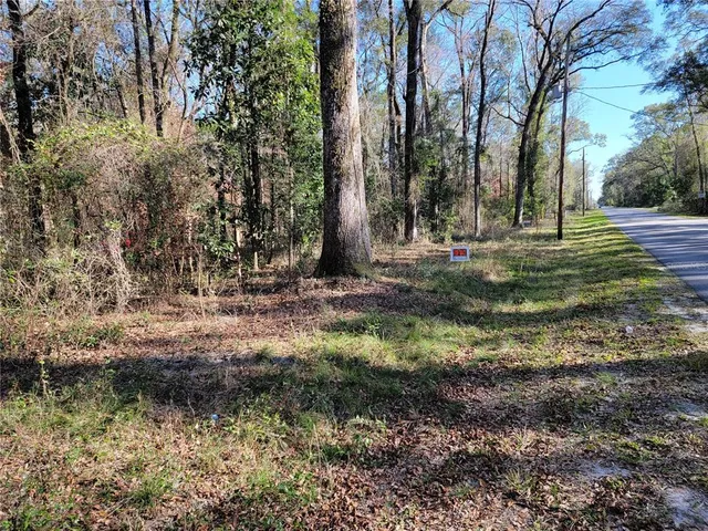 a view of a garden with trees