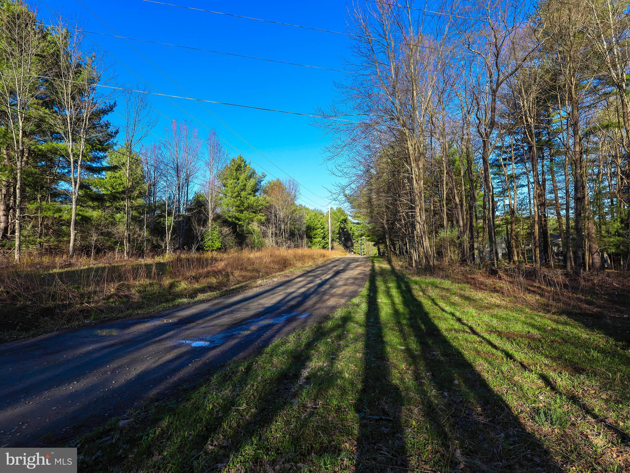 0 Twin Lakes Road Brackney, PA 18812 - Photo 24 of 43