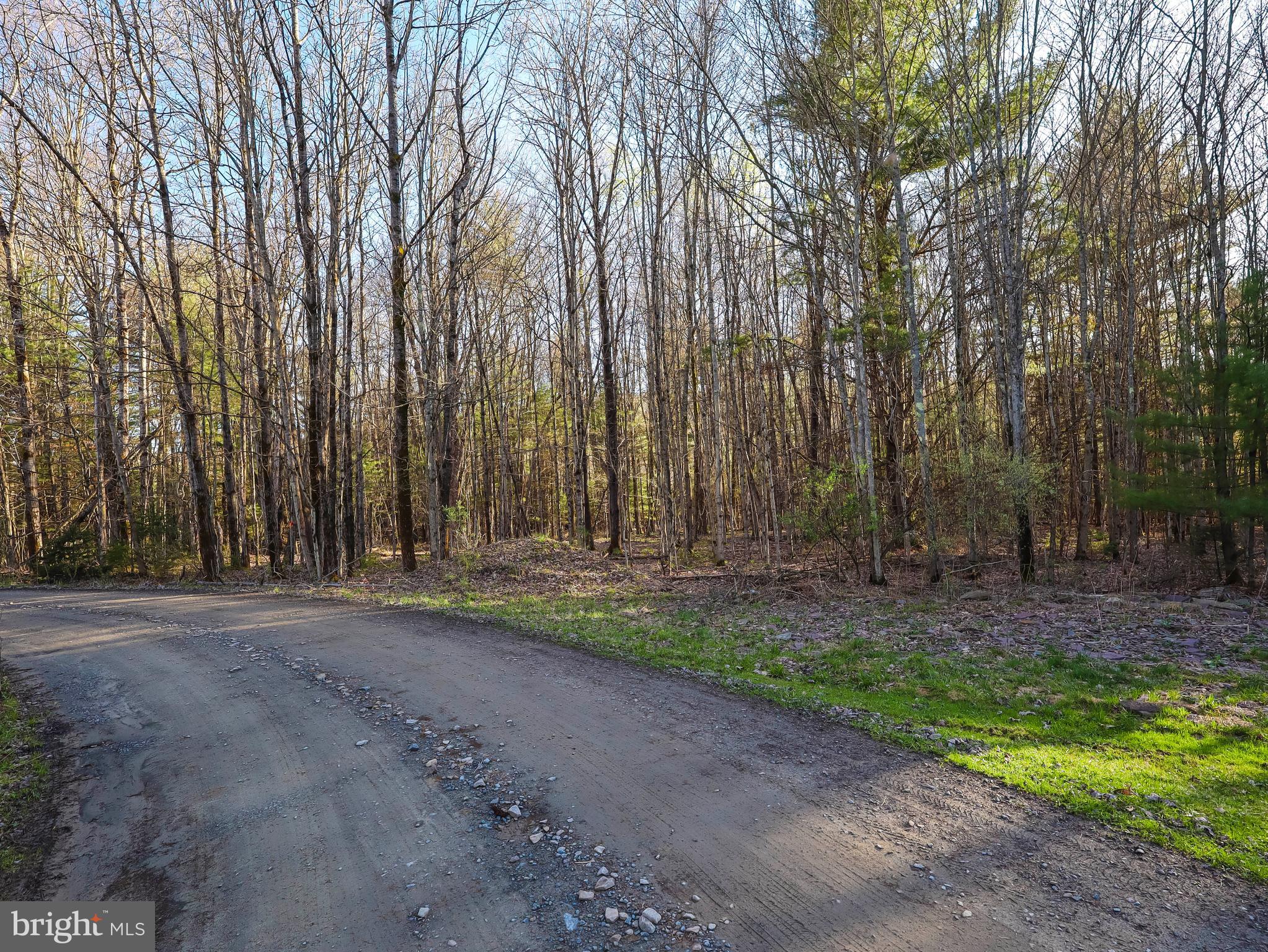 0 Twin Lakes Road Brackney, PA 18812 - Photo 26 of 43