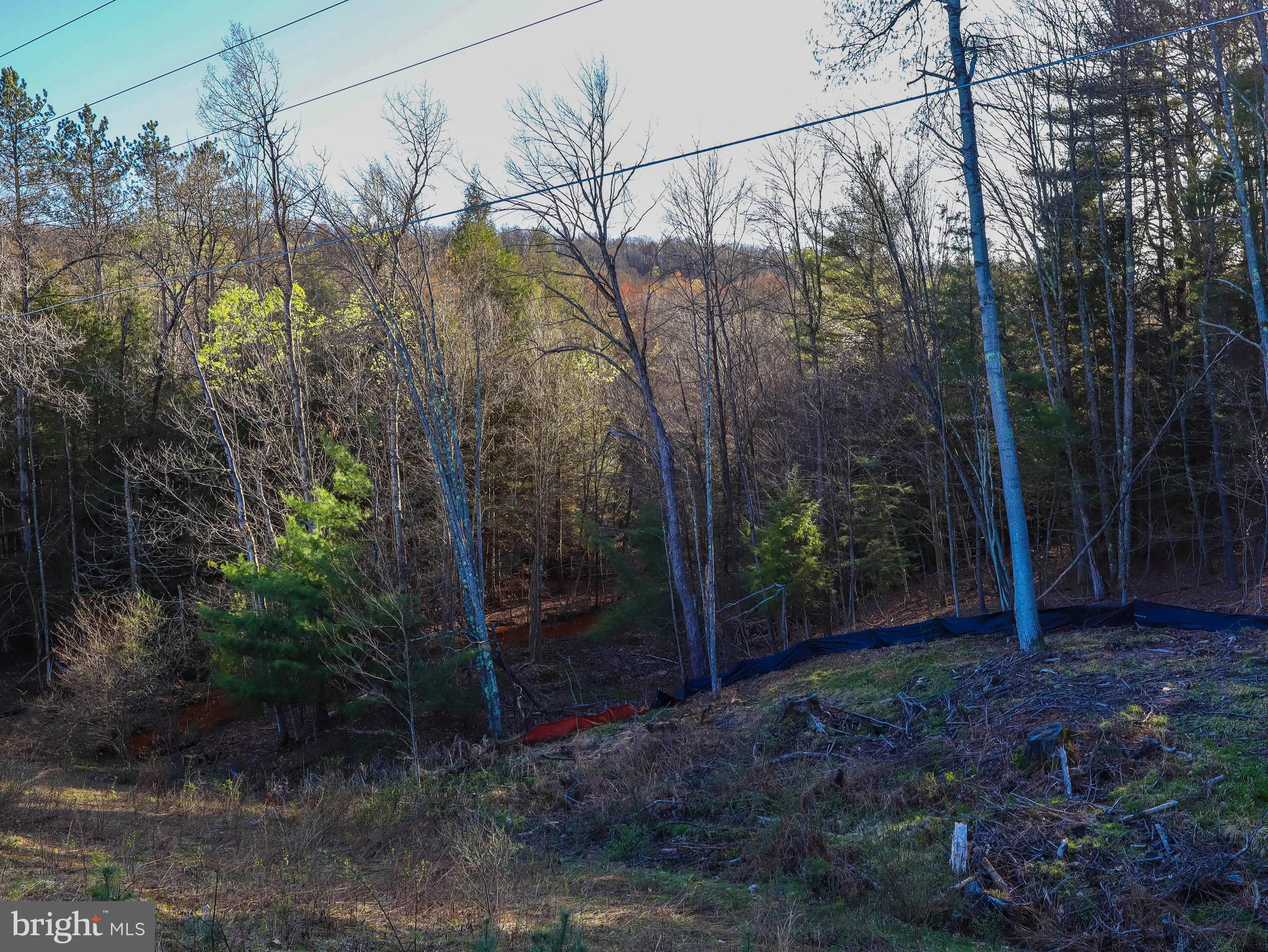 0 Twin Lakes Road Brackney, PA 18812 - Photo 36 of 43