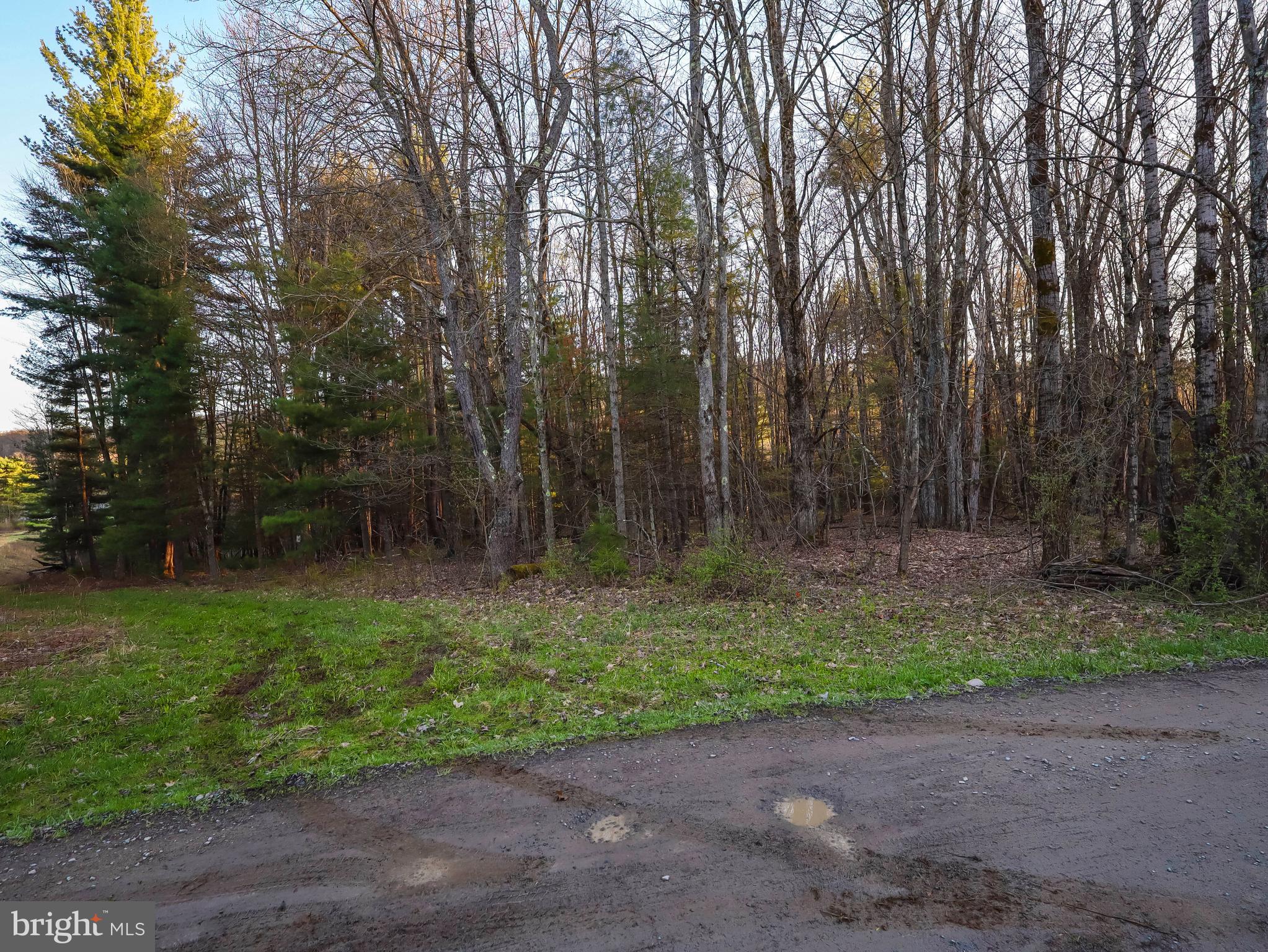 0 Twin Lakes Road Brackney, PA 18812 - Photo 39 of 43