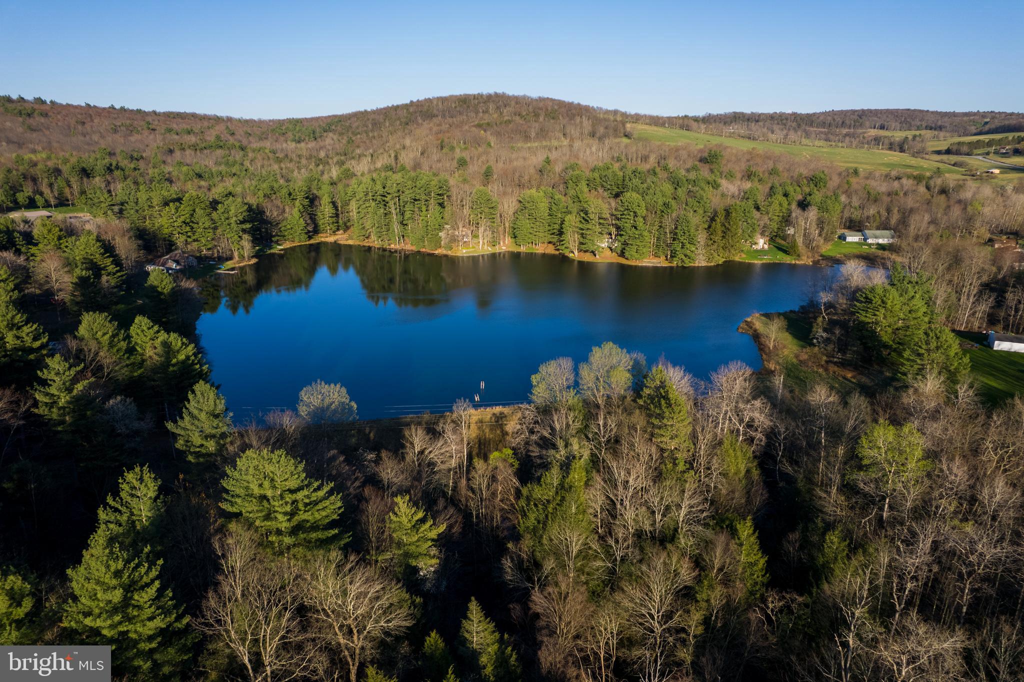 0 Twin Lakes Road Brackney, PA 18812 - Photo 4 of 43