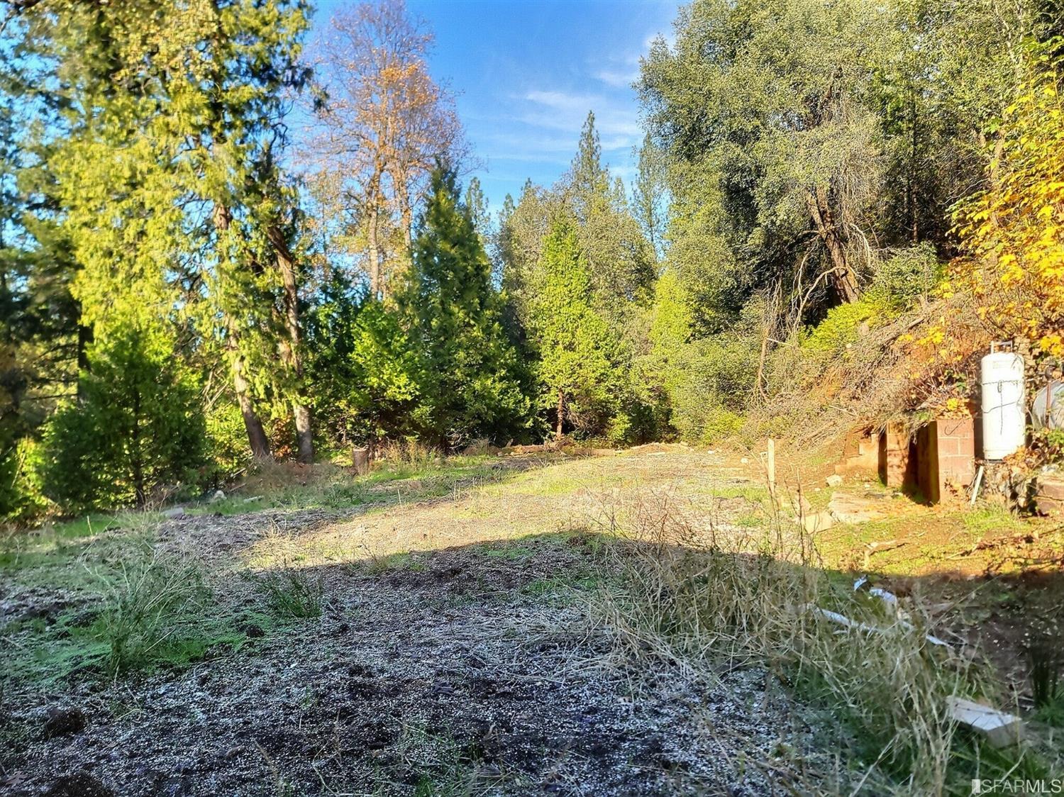 241 Ealey Road Glencoe, CA 95232 - Photo 38 of 43 a view of a yard with an trees