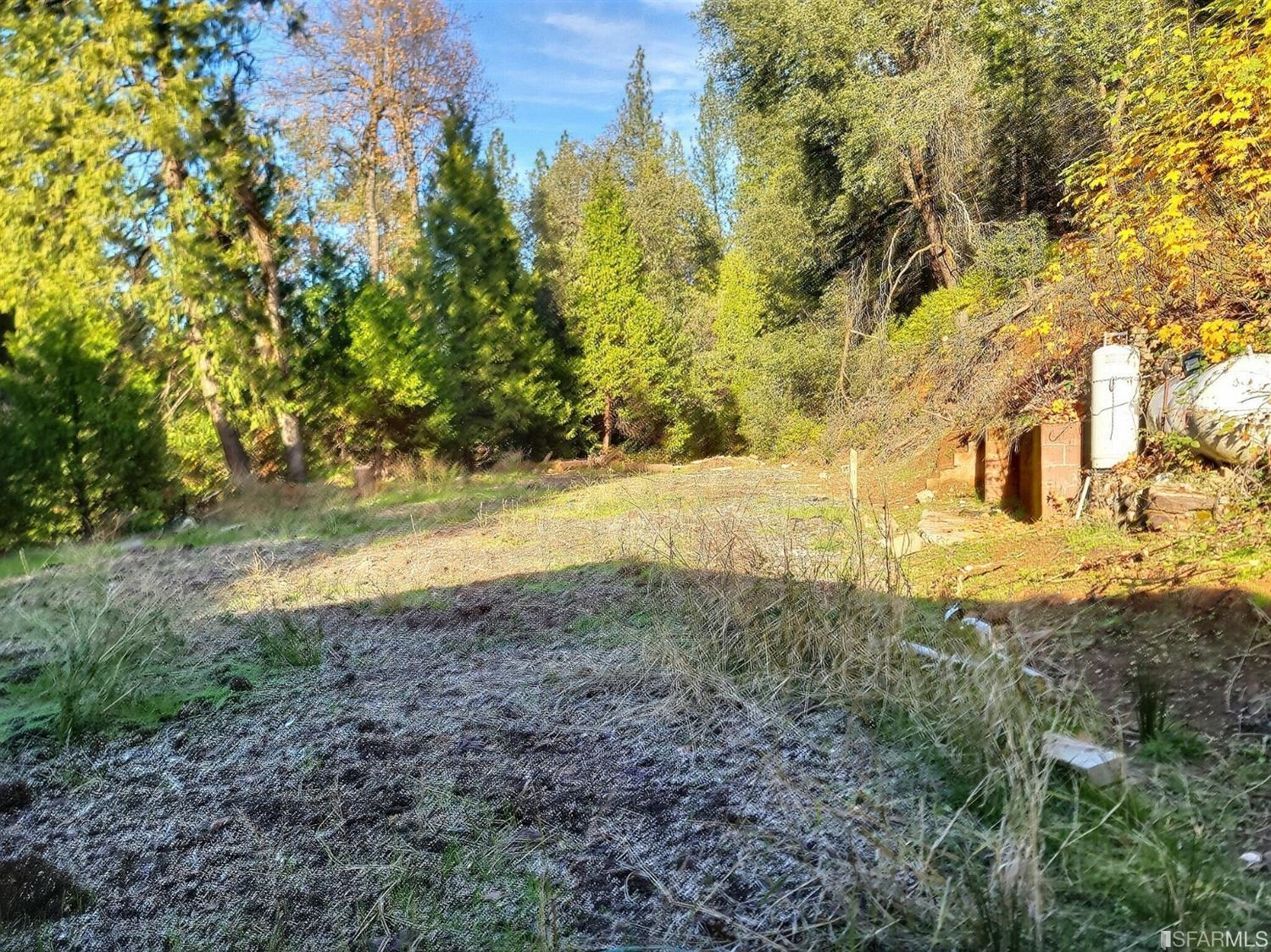 241 Ealey Road Glencoe, CA 95232 - Photo 39 of 43 a view of yard with green space