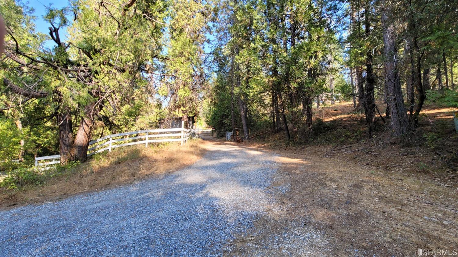 241 Ealey Road Glencoe, CA 95232 - Photo 4 of 43 a view of outdoor space and trees