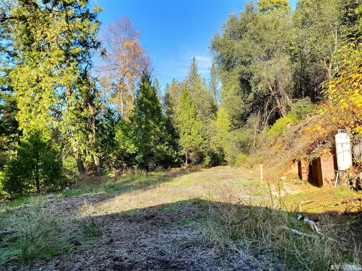 241 Ealey Road Glencoe, CA 95232 - Photo 42 of 43 a view of back yard of the house