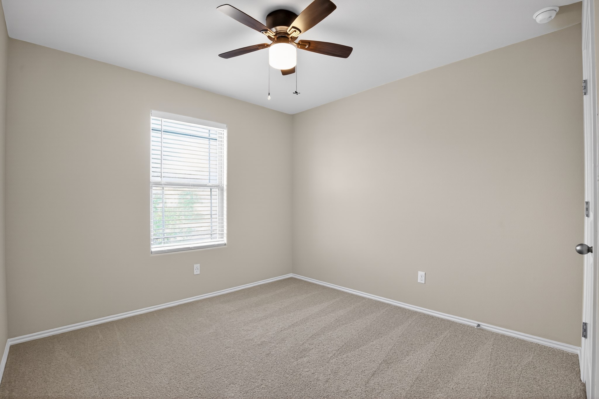 16816 Ruggio Road Pflugerville, TX 78660 - Photo 22 of 30 A well-proportioned bedroom offers comfort with a window, carpeting, and a ceiling fan.