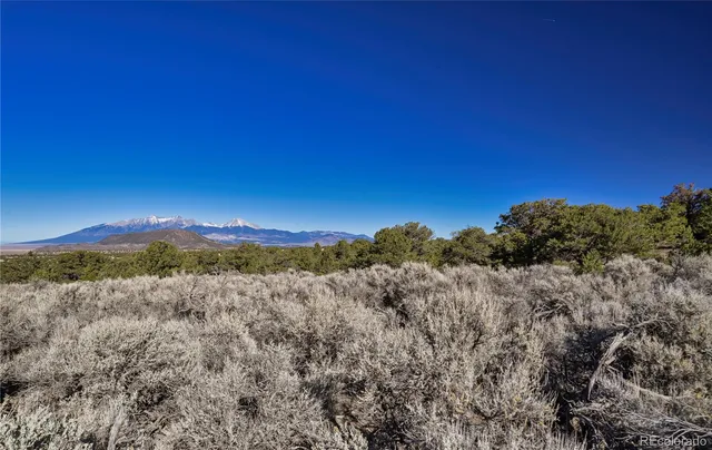 a view of a bunch of trees in a field