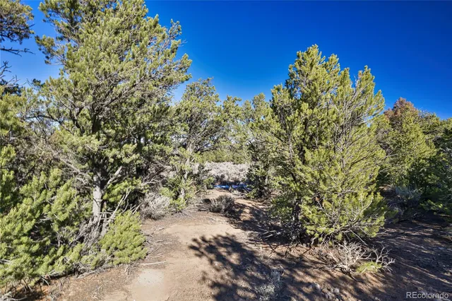 a view of a lake with a mountain in the background