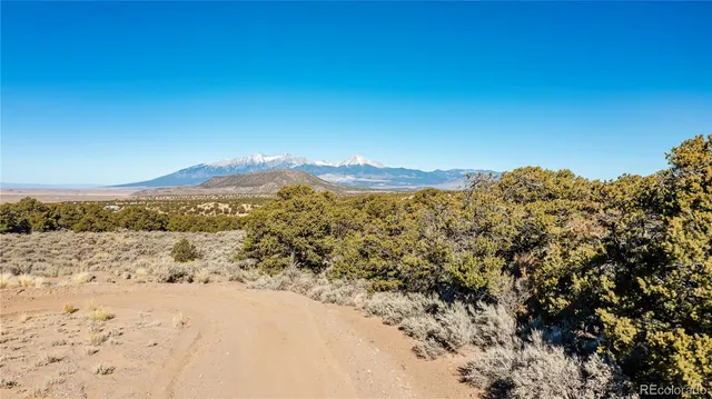 a view of a large tree with a yard