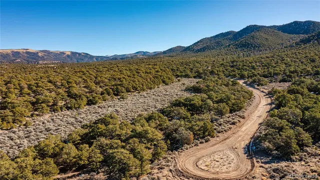 a view of a tree in a yard