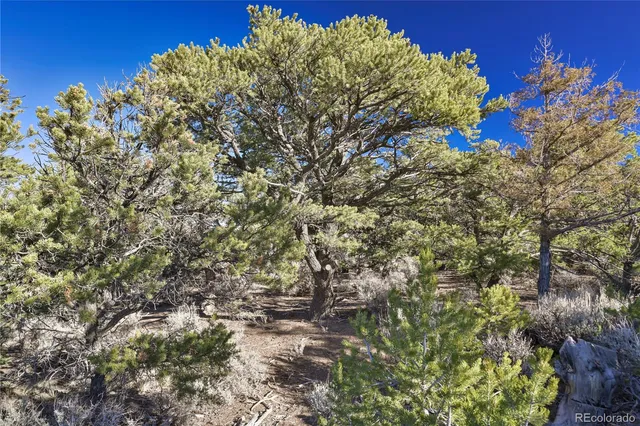 a view of a back yard