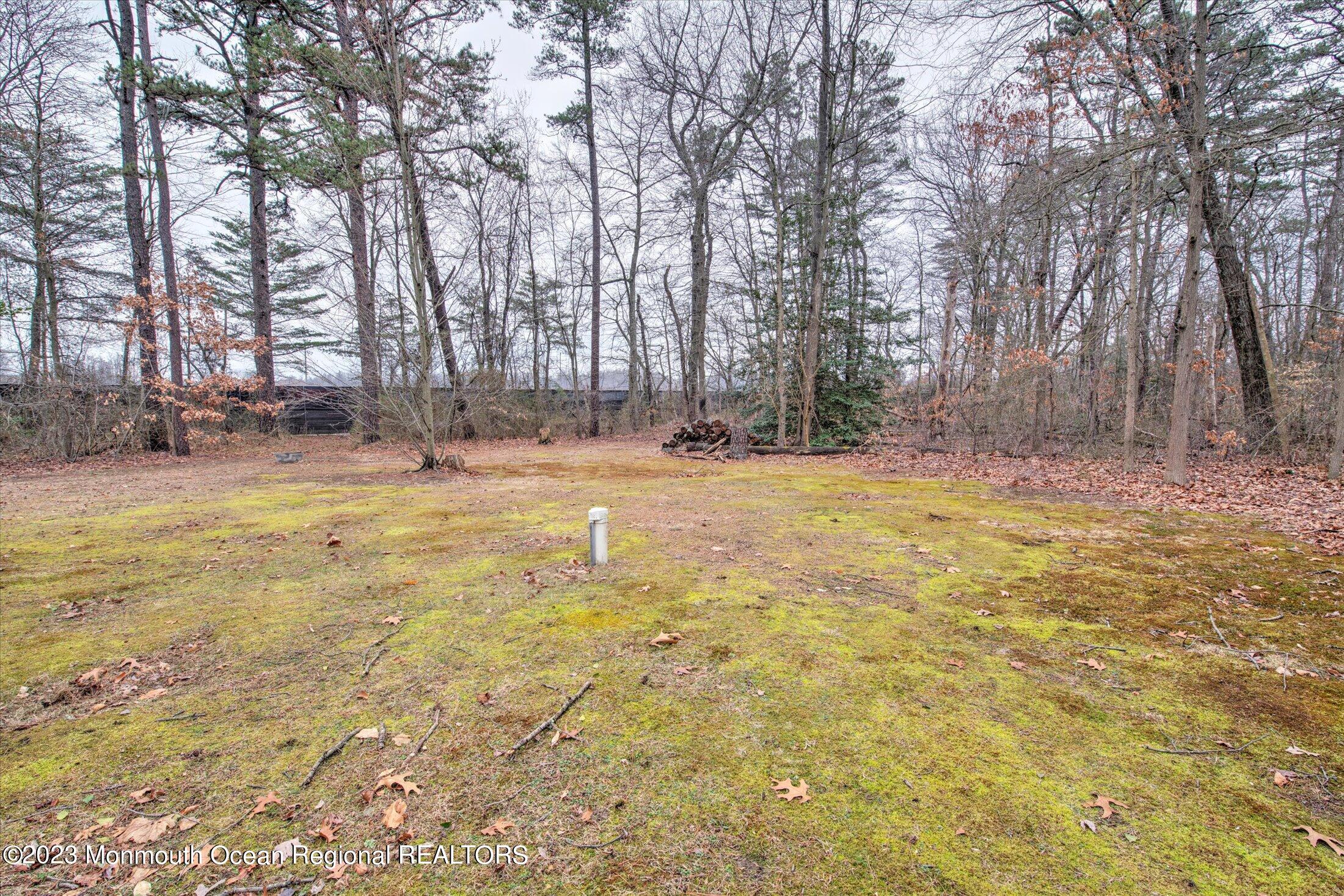 736 Pinehurst Road New Egypt, NJ 08533 - Photo 31 of 39 36-BACK YARD
