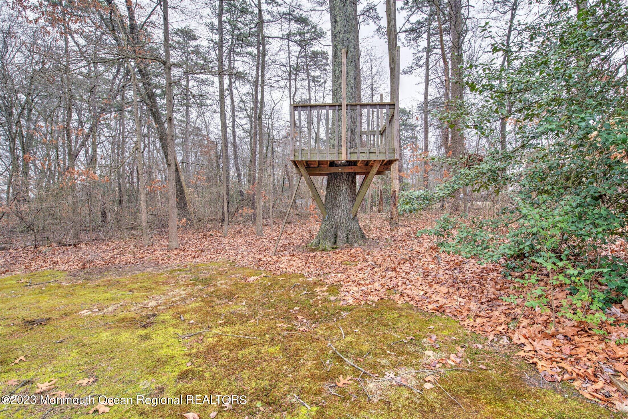 736 Pinehurst Road New Egypt, NJ 08533 - Photo 32 of 39 37-BACK YARD