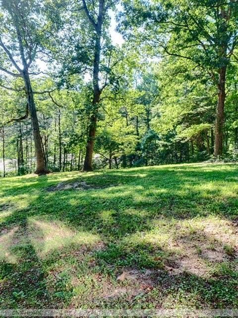 485 Powder House Road Powell, TN 37849 - Photo 2 of 24 a view of a park with large trees