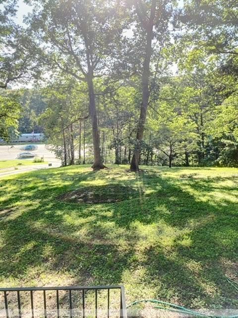 485 Powder House Road Powell, TN 37849 - Photo 23 of 24 a view of a green field with lots of trees