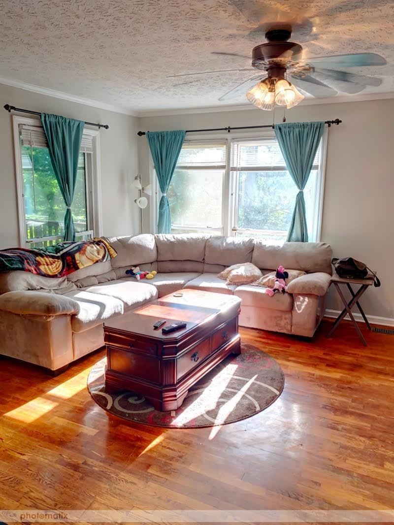 485 Powder House Road Powell, TN 37849 - Photo 6 of 24 a living room with furniture and a large window