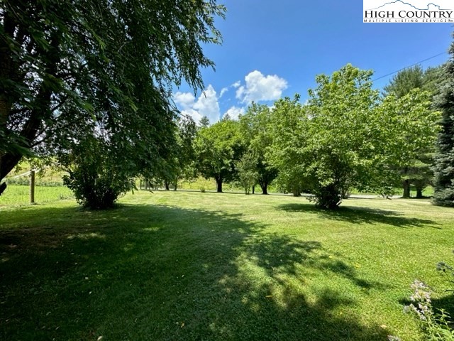 32 Stoneacres Lane Independence, VA 24348 - Photo 11 of 27 a view of a trees with a yard